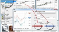    Metatrader 5